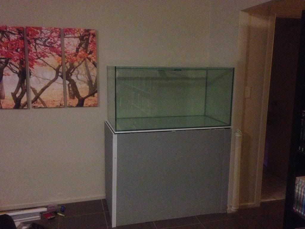 t5 aquarium lights australia