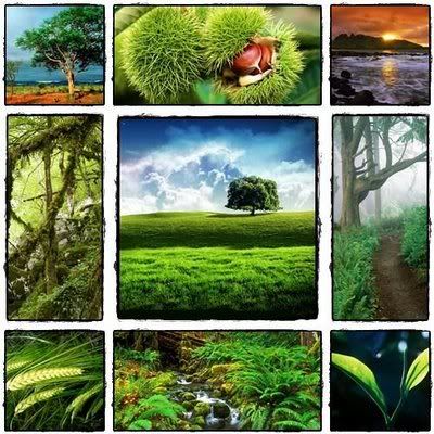 high quality nature wallpapers. high quality nature wallpapers