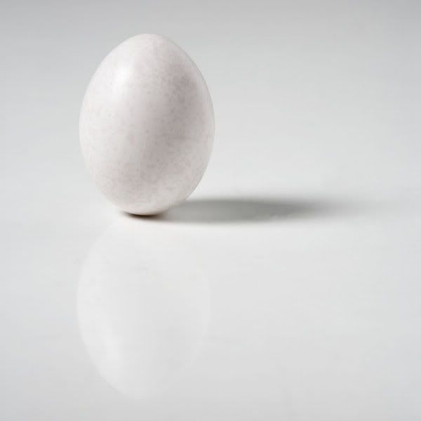 EGG2