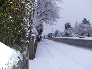 SnowNov2010002.jpg