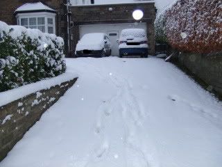 SnowNov2010003-1.jpg