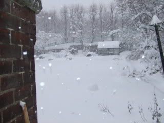 SnowNov2010010.jpg