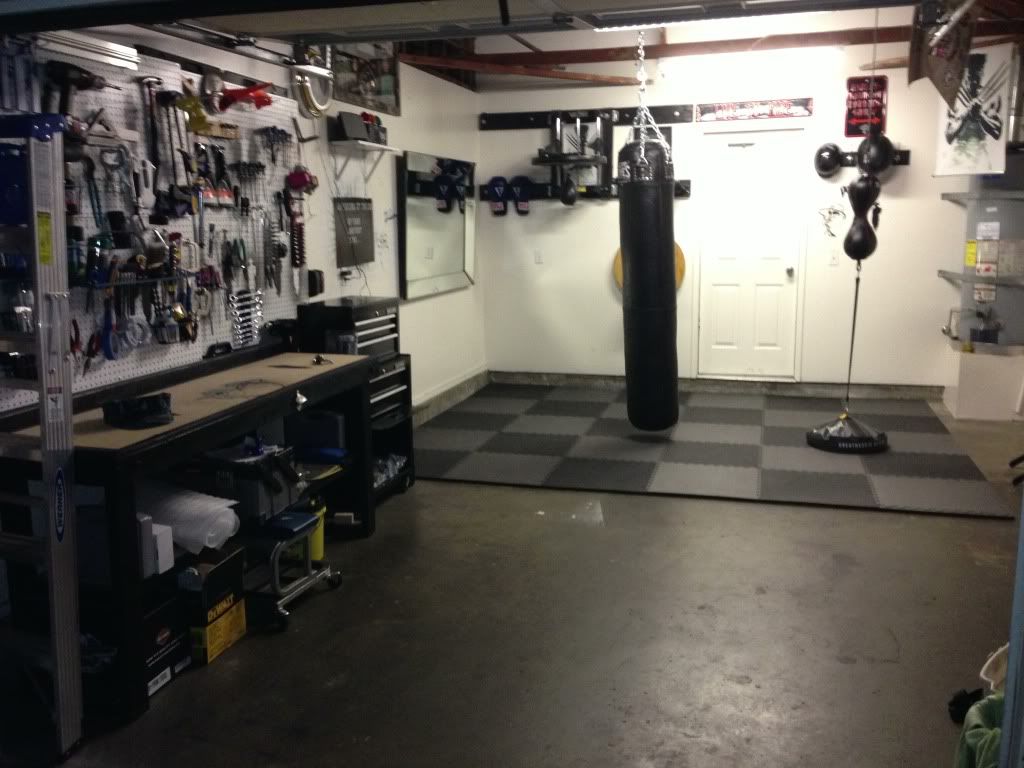 Valor ca 53 2" speed bag/vertical platform and cleto reyes xl bag ...