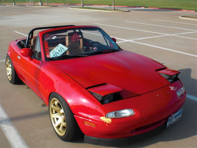 [Image: Cropmiata3.jpg]