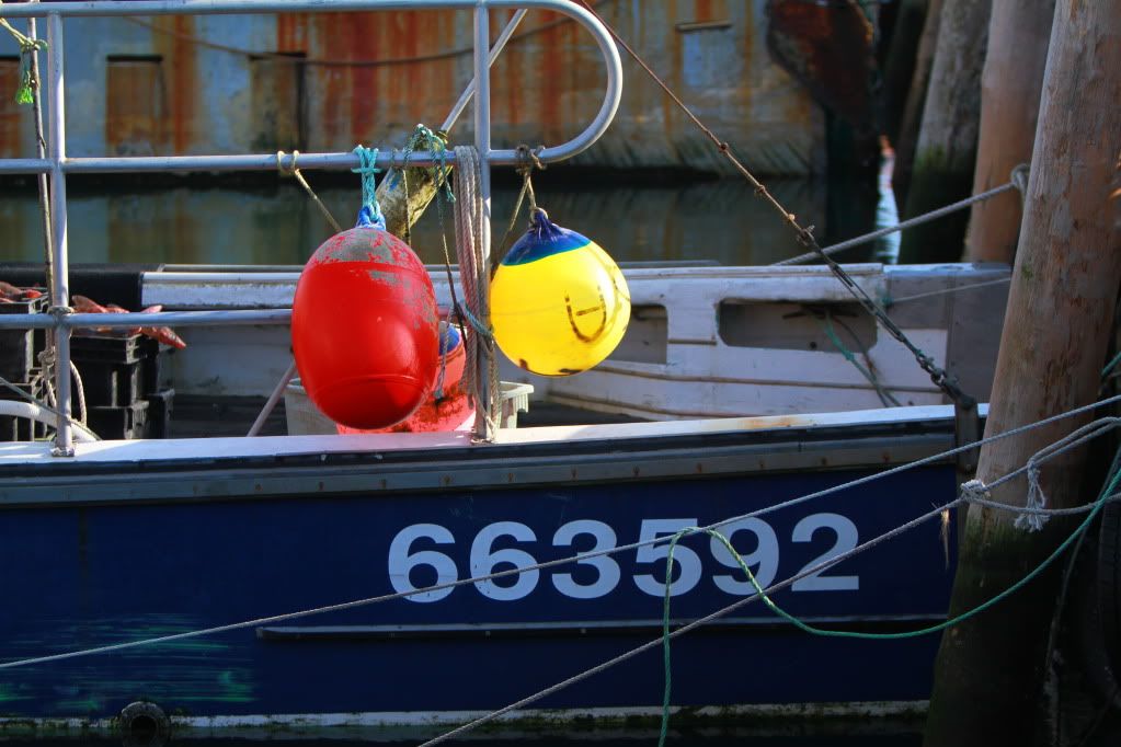 IMAGE: http://i1017.photobucket.com/albums/af295/buy2ls/Montauk%20New%20Years%20Day%202011/2011sunrise1-1-11012.jpg