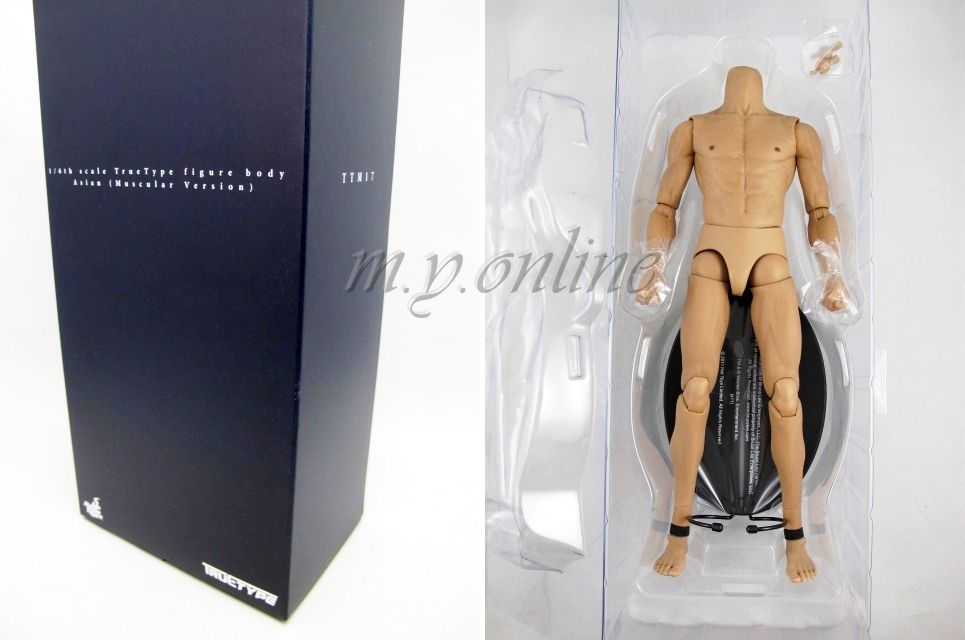 hot toys truetype body