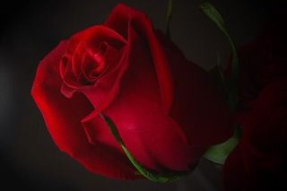 marivel-4-1.jpg picture by bmw_1