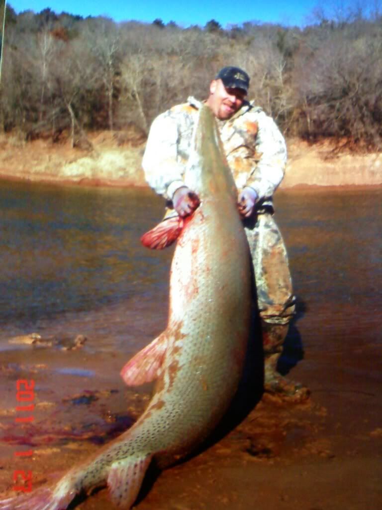 new oklahoma state record gator gar