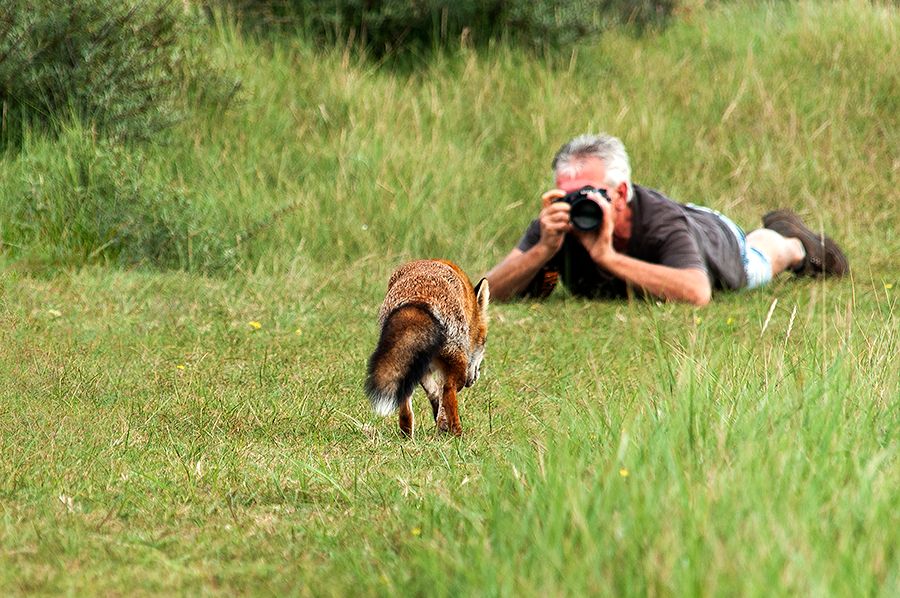 Fotografie
