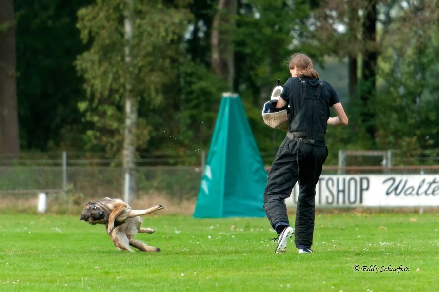 Fotografie