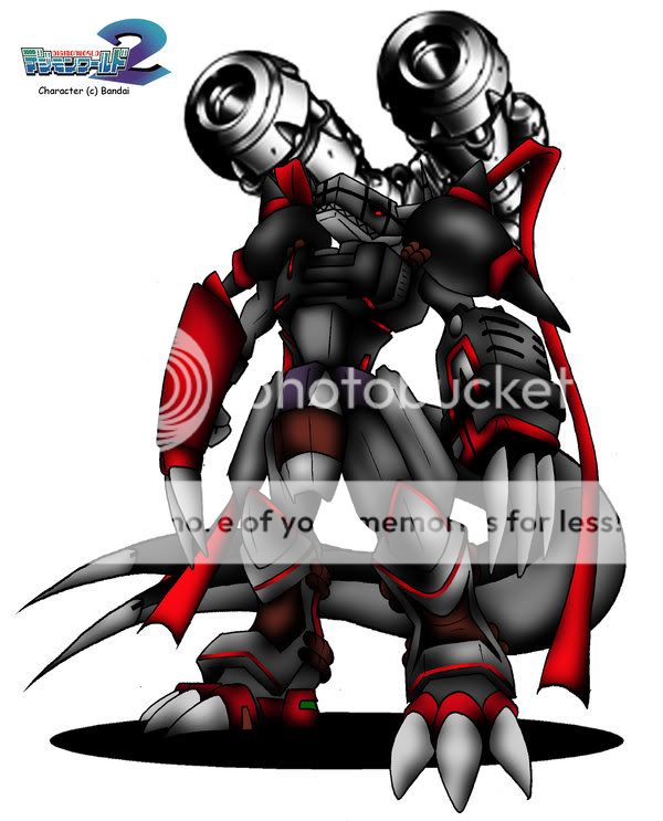 User Image