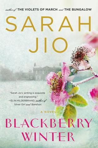 Blackberry Winter by Sarah Jio