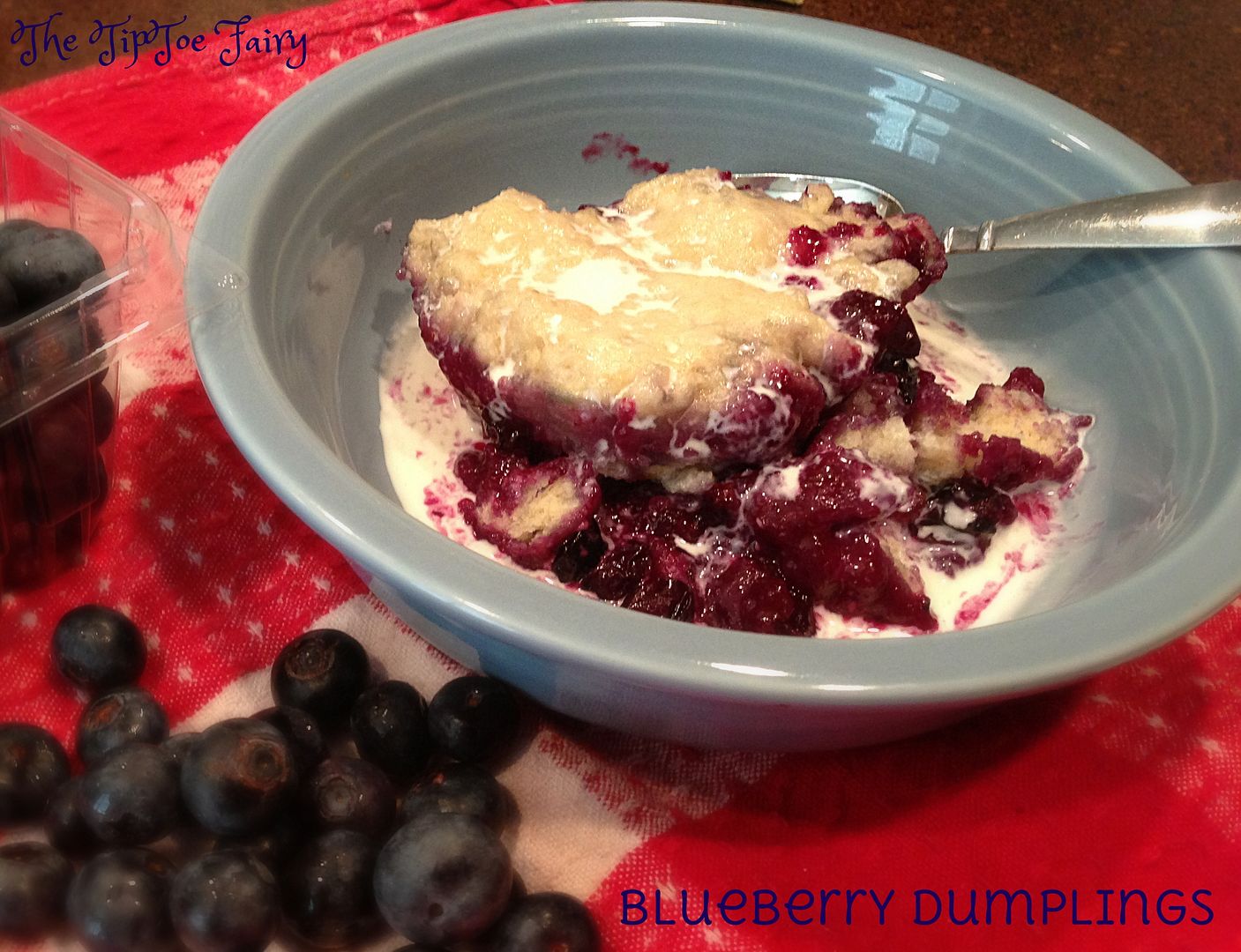 Blueberry Dumplings