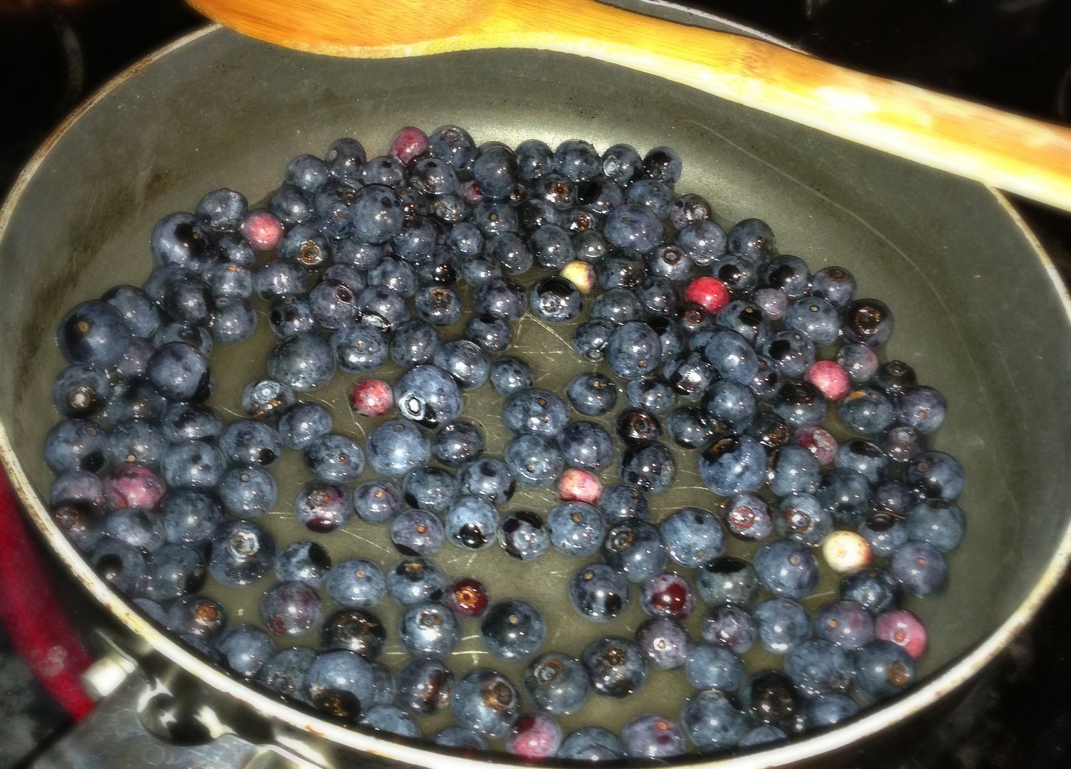 Blueberry Dumplings