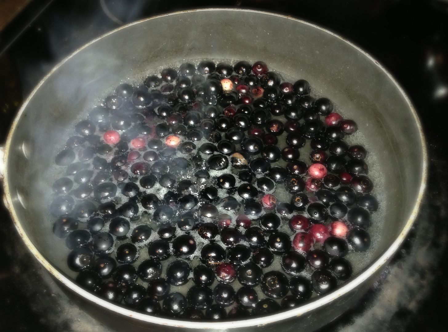 Blueberry Dumplings