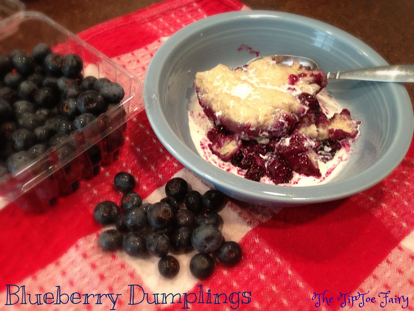 Blueberry Dumplings