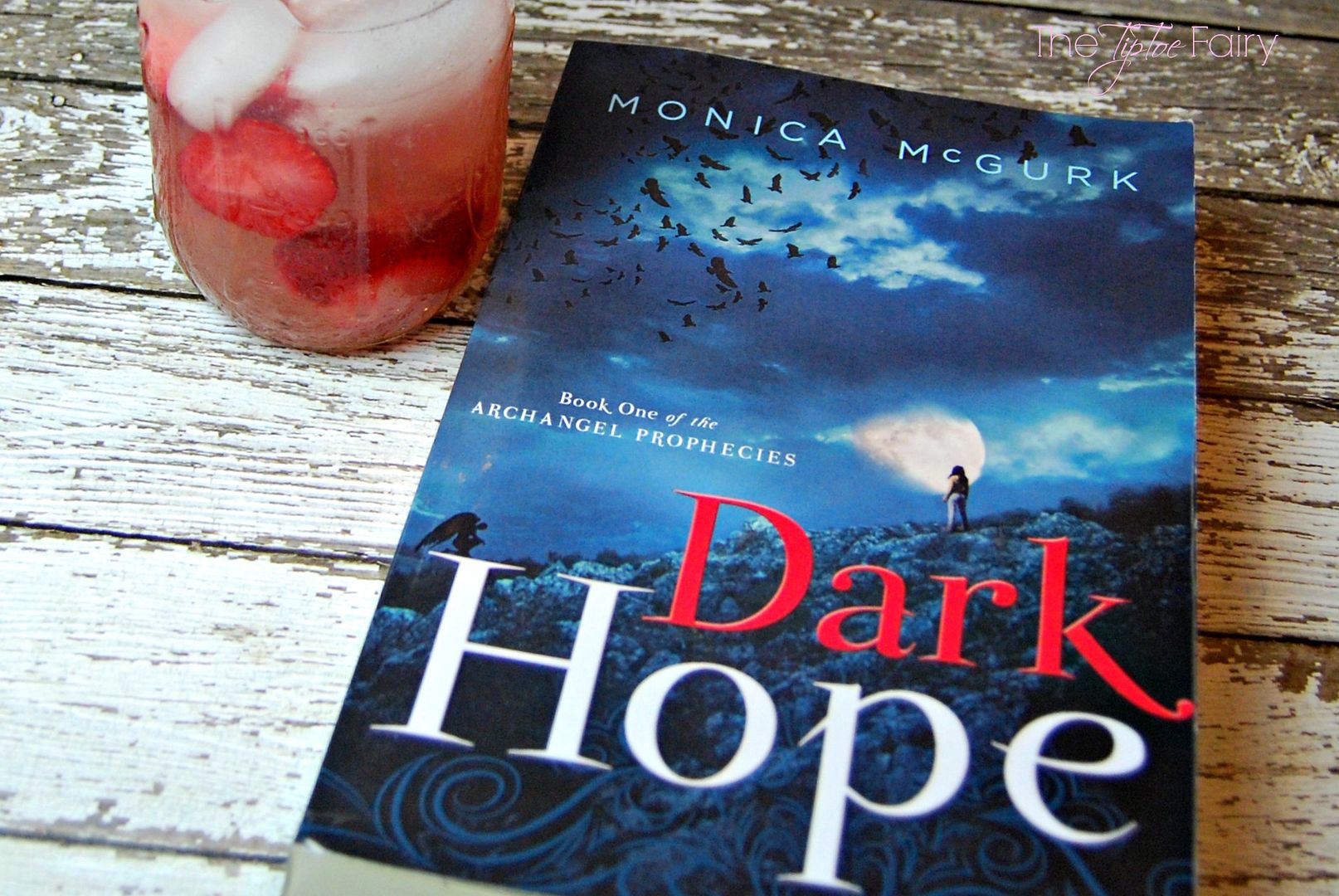 Dark Hope By Monica McGurk | Review by The TipToe Fairy #darkhopebook #clevergirls #bookreview #giveaway