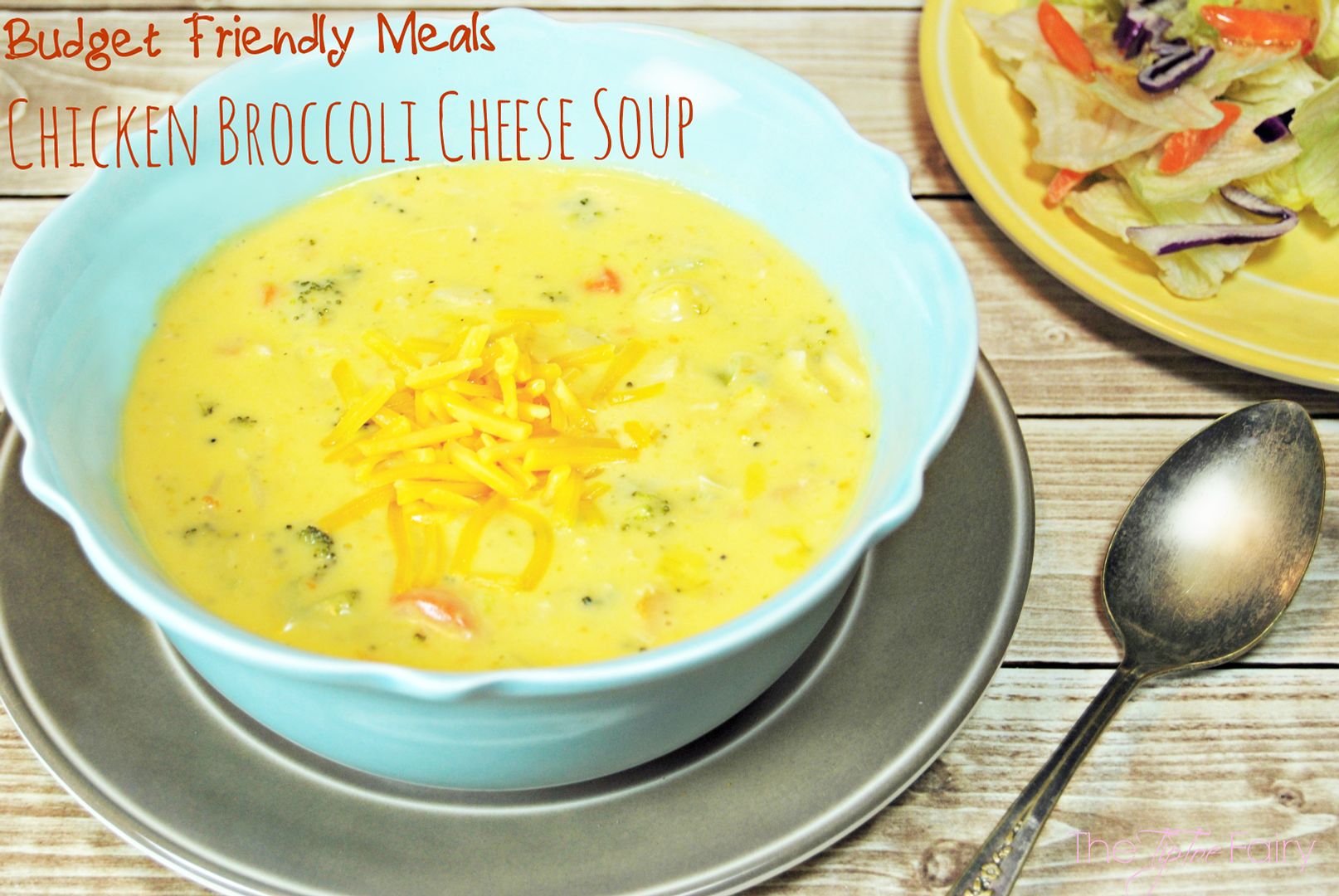 Chicken Broccoli Cheese Soup - budget friendly meal, less than $20 for the whole family | The TipToe Fairy #RollintoSavings #shop #cbias #souprecipes #macncheese